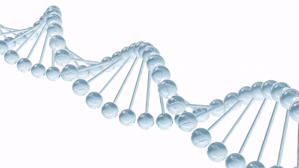 DNA Model, Motion Graphics | VideoHive