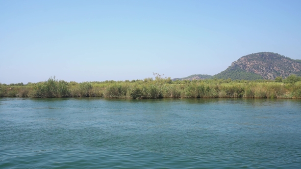 Turkish River Journey Along Green Coast View