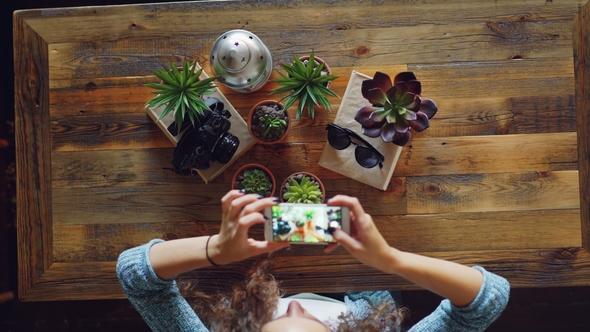 Creative Photographer Is Using Smartphone To Take Flat Lay Pictures of Plants, Camera and Sunglasses alt