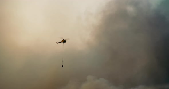 Wildfire on Forest Firefight Helicopter Fly Over Smoke and Drop Water to Fire alt