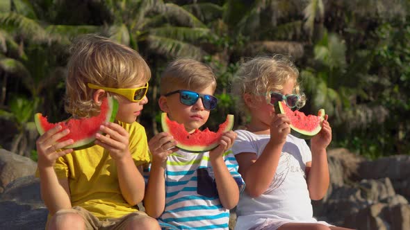 Group of Children Eating Watermelon Sitting on a Tropical Beach. Childhood Concept. Summer Concept alt
