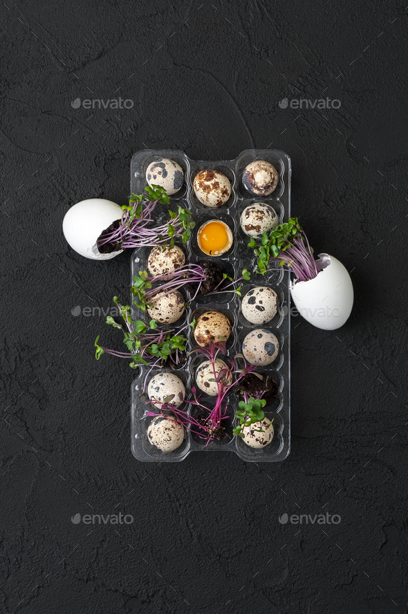 A pallet with fresh quail eggs and a watercress on a black table Stock Photo by Olesya22