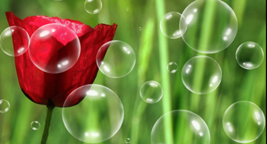 WATER & SOAP BUBBLES BRUSHES