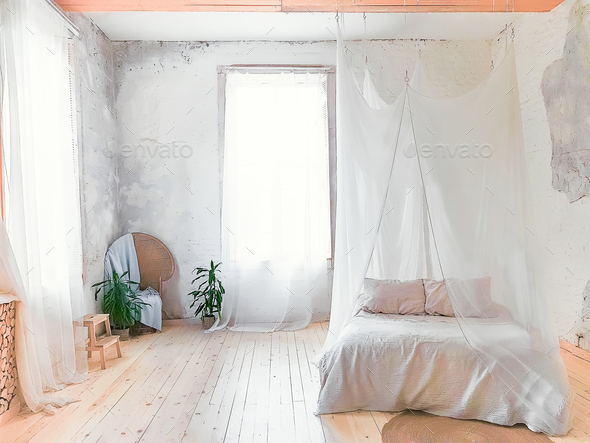 beautiful empty interior with a palm tree and curtain. Idea of white minimalist room with sofa. Stock Photo by lyulkamazur