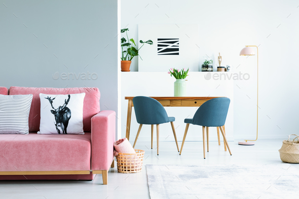 Real photo of an open space flat interior with a pink couch in t Stock Photo by bialasiewicz