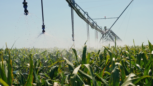 Automated Irrigation System on the Field alt