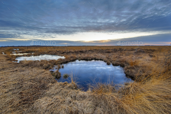 Sunset over Rehdener Geestmoor - Stock Photo - Images