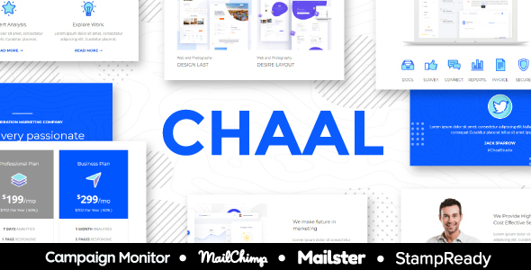 Chaal - Business - ThemeForest 22164815