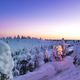 Fantastic winter sunrise in mountains with snow covered fir trees