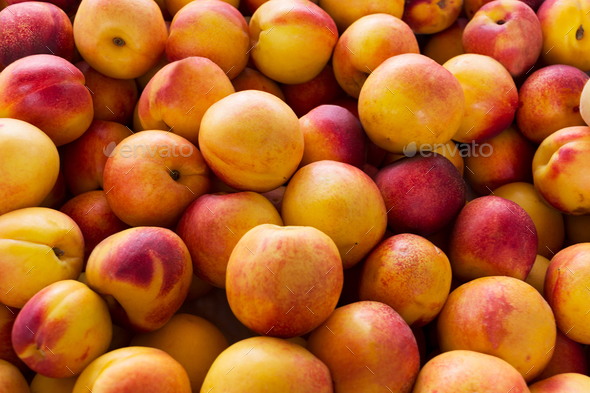 Fresh Yellow Nectarine