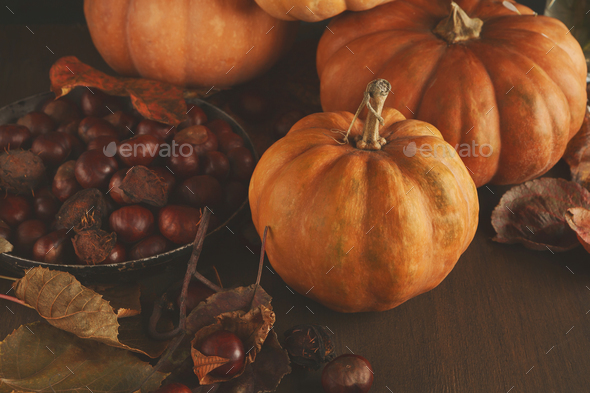 Beautiful pumpkins with leaves and chestnuts on wooden table - Stock Photo - Images