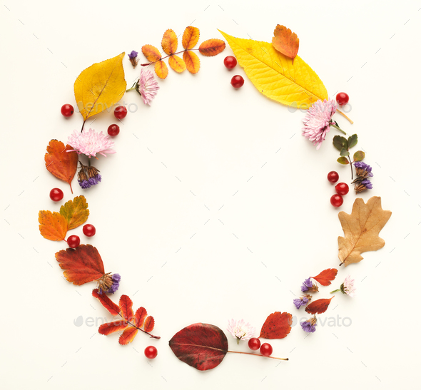 Autumn colourful leaves in circle frame isolated on white Stock Photo by Prostock-studio