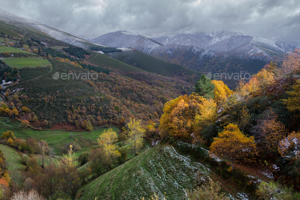 Late autumn scene with some snow Stock Photo by luisvilanova | PhotoDune