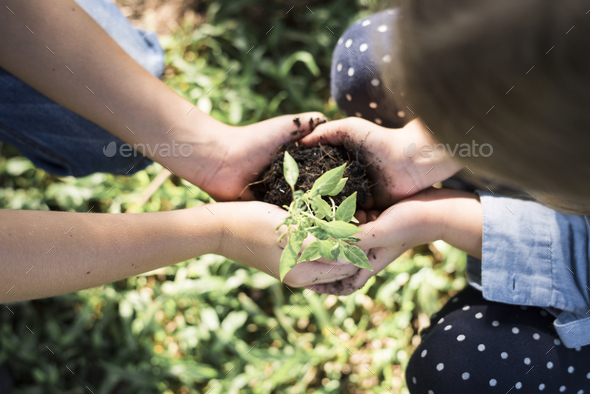 Family planting a new tree for the future Stock Photo by Rawpixel | PhotoDune