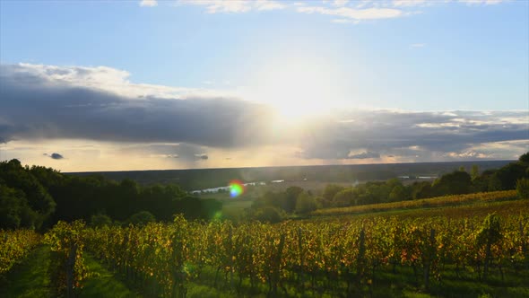 Bordeaux Vineyard Sunrise, Gironde, Aquitaine, Timelapse