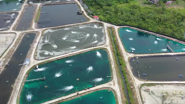 Birds eye view overlooking at the controlled environment of aquaculture industry, fish farms with ae alt