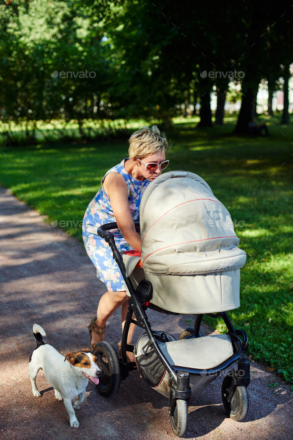 Woman walking with dog and baby carriage Stock Photo by KonstantinKolosov