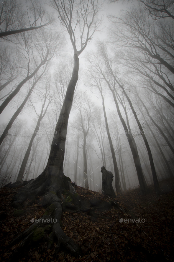 Spooky Silhouette Near Giant Tree In Haunted Mysterious Forest With Fog Stock Photo By Andreiuc