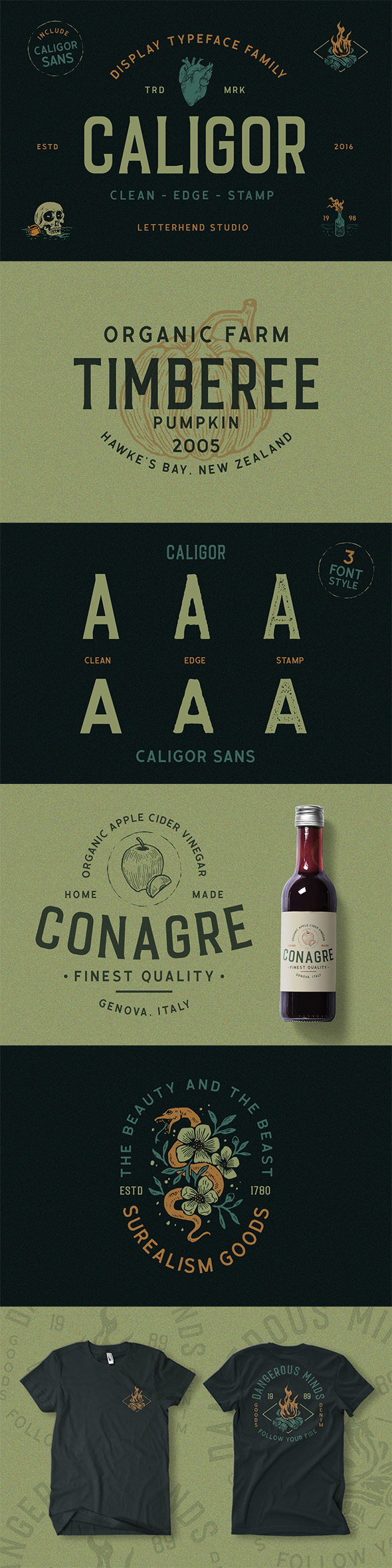 CALIGOR - Display Typeface - Condensed Sans-Serif