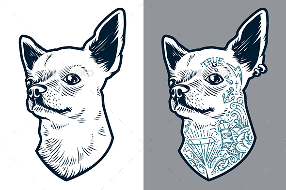 Tattooed Chihuahua | Vector Art - Animals Characters