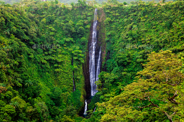 Vibrant tall Papapapaitai falls in the forest of Upolu island, S - Stock Photo - Images