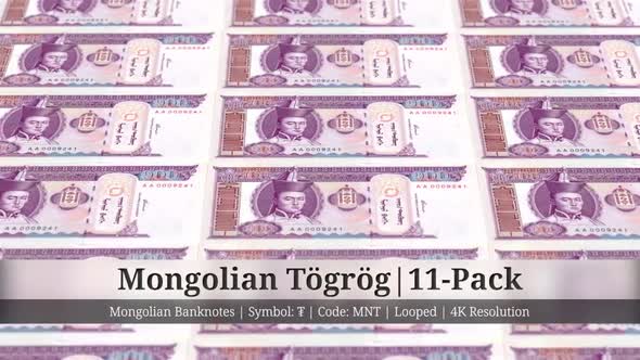 Mongolian Tögrög | Mongolia Currency - 11 Pack | 4K Resolution | Looped alt
