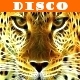 The Disco