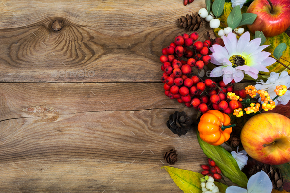 Thanksgiving greeting with small pumpkin, rowan, copy space - Stock Photo - Images