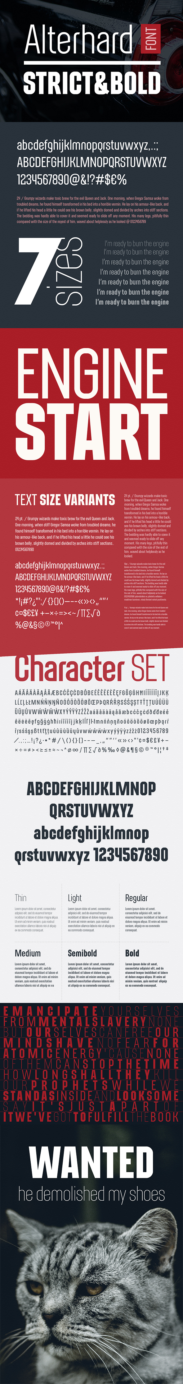 Alterhard Condensed Strict Font - Condensed Sans-Serif