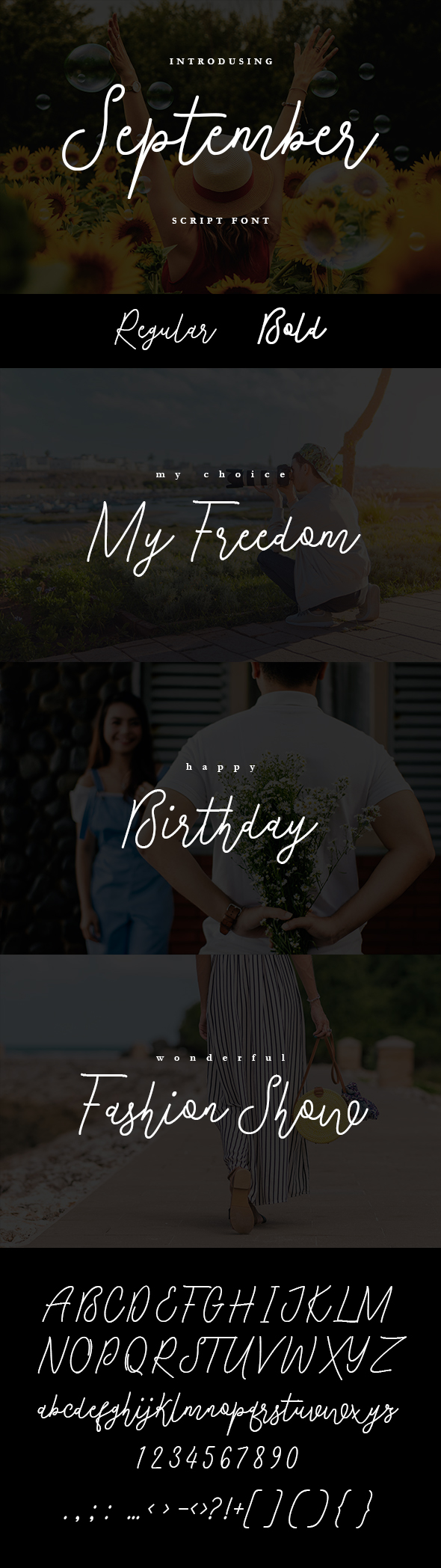 September Script Font - Calligraphy Script