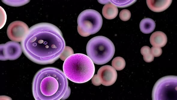 T Cells Attacking Cancer Cells alt