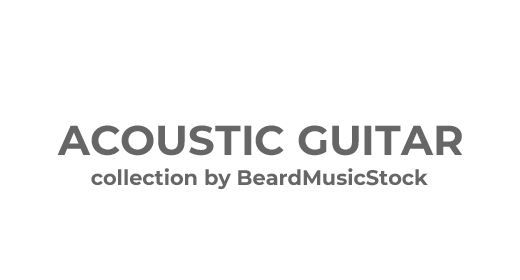 Acoustic Guitar