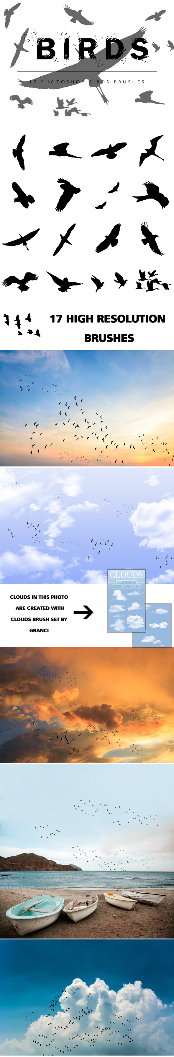 Birds Photoshop Brushes - Brushes Photoshop