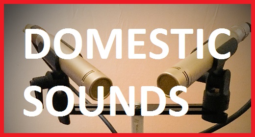 Domestic Sounds