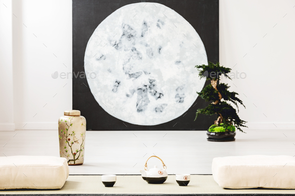 Moon poster and bonsai between pillows on the floor in japanese