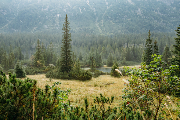 Tatra National Park, Poland. Small Mountains Lake Zabie Oko Or M - Stock Photo - Images