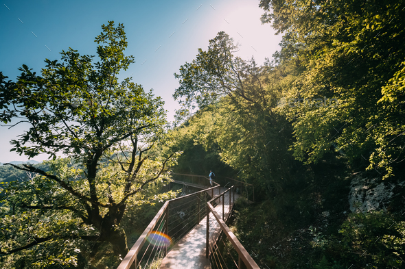 Zeda-gordi, Georgia. Man Walking On Narrow Suspension Bridge Or - Stock Photo - Images