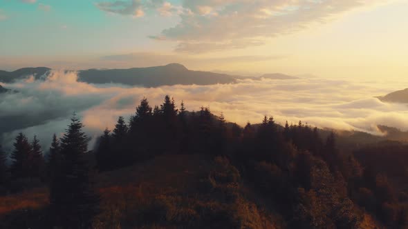 Forest Over Clouds In Fall (Cinematic)