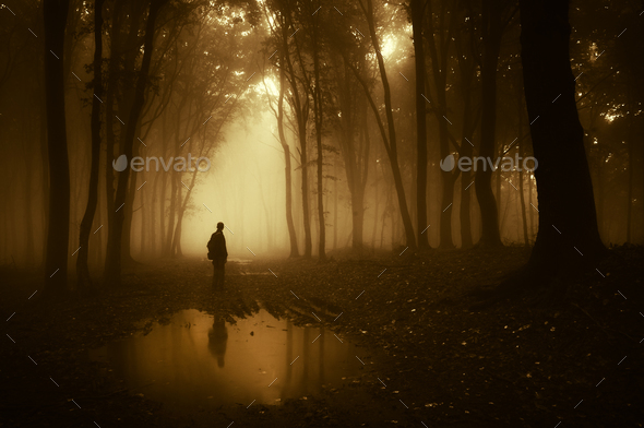 Dark Silhouette On Edge Of Lake In Mysterious Forest With Fog Stock Photo By Andreiuc