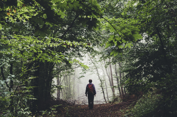 man hiking on misty forest path with green foliage and lush vege - Stock Photo - Images