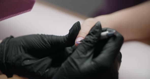 Manicurist Does French Style Manicure to the Client at the Beaty Salon Cosmetology and Beauty alt
