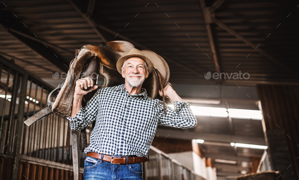 A senior man with a hat carrying a horse saddle on his shoulders in a stable.