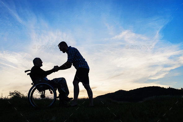 A silhouette of adult son looking at his father in wheelchair in nature ...