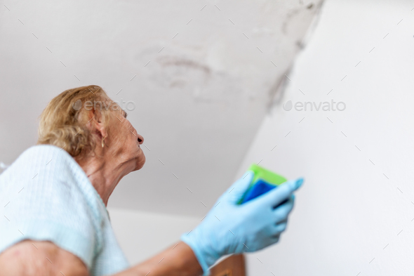 Cleaning up dangerous fungus from a wet wall after water leak Stock Photo by tommyandone