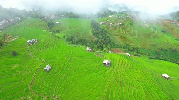 Drone is flying through clouds above rice terraces alt