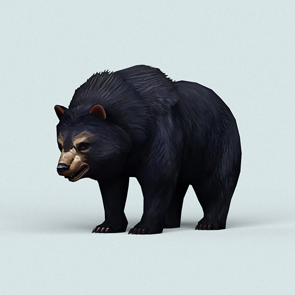 Wild Bear - 3Docean 22606758