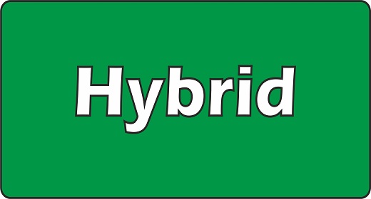 Hybrid