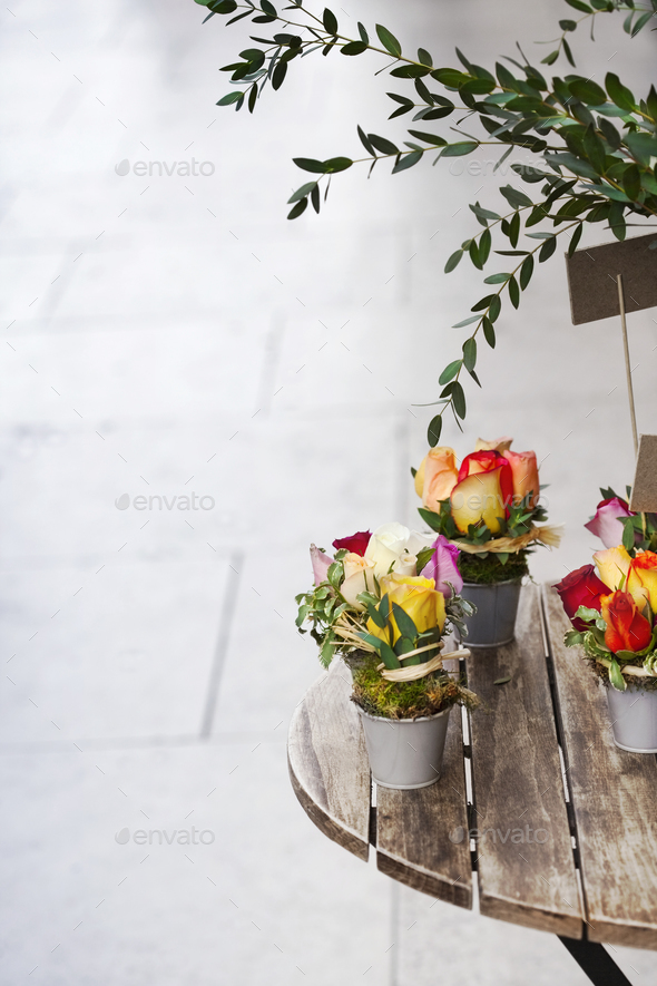 Roses and green leaves in buckets on a wooden table Stock Photo by Jacques_Palut