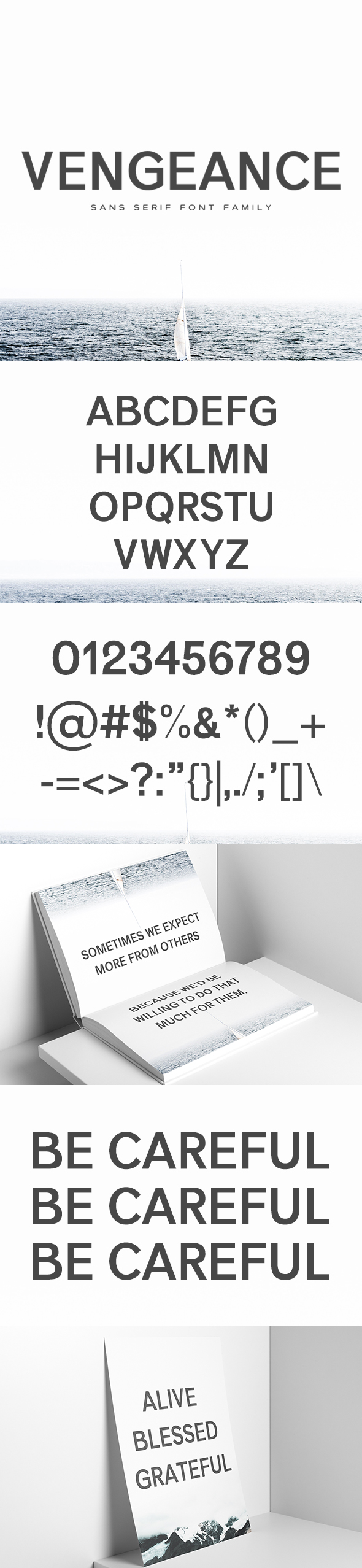 Vengeance Sans Serif Font Family - Sans-Serif Fonts