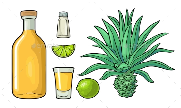 Glass and Bottle of Tequila - Food Objects